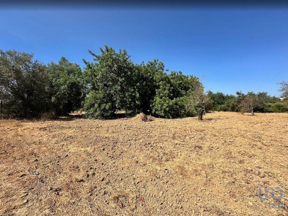 Helårsgrund i Tavira, Faro - foto 5