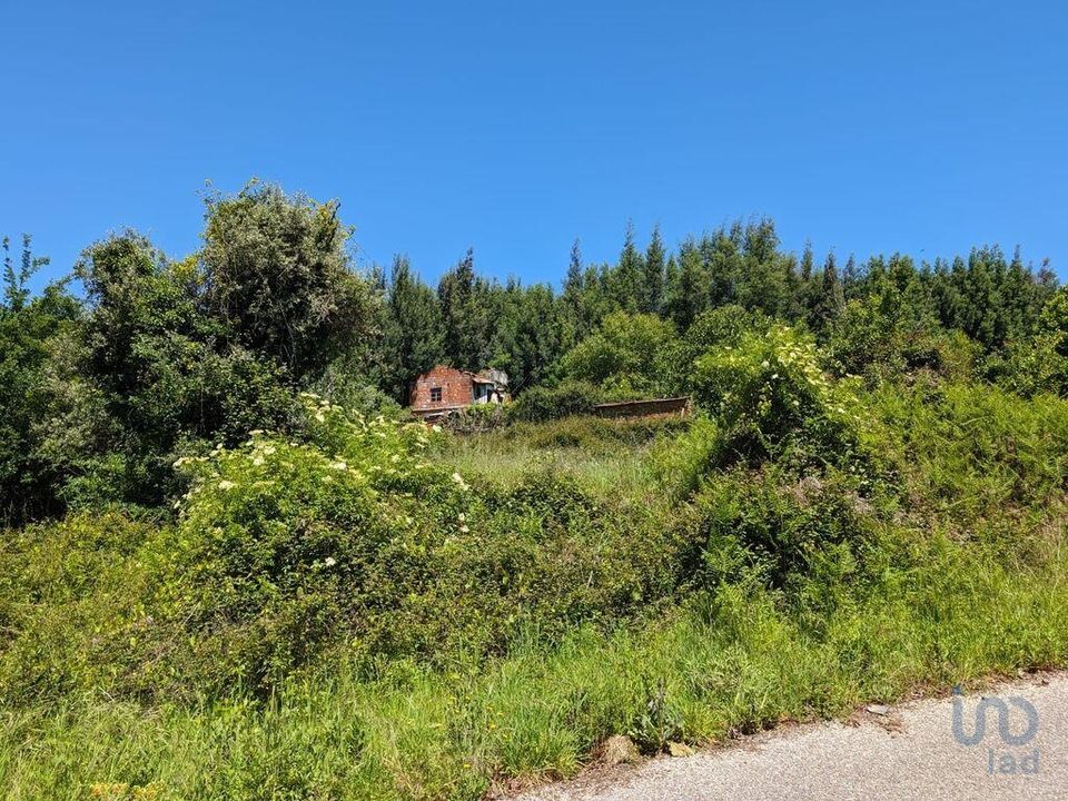 Rekkehus i Pedrogao Grande, Leiria - bilde 4