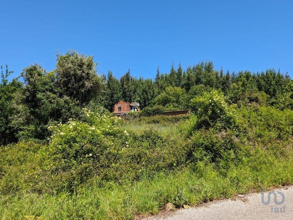 Rekkehus i Pedrogao Grande, Leiria - bilde 5