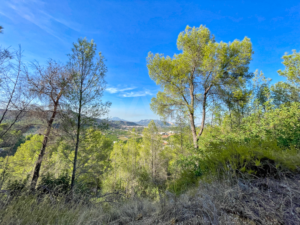 Helårsgrund i Valencia, Valencia - foto 2