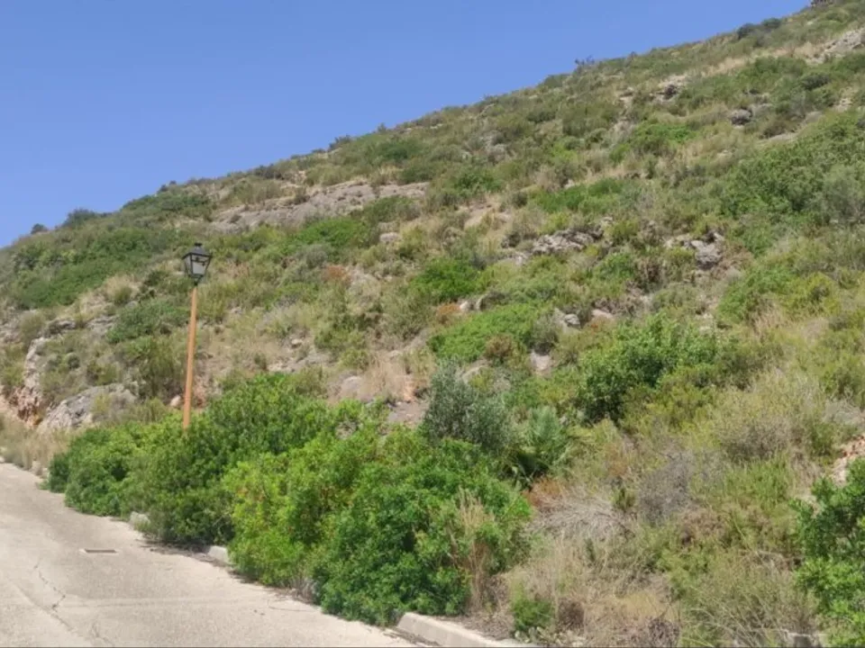 Helårsgrund i Jalon, Alicante - foto 3