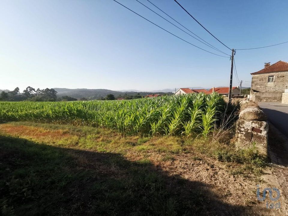 Helårsgrund i Esposende, Braga - foto 1