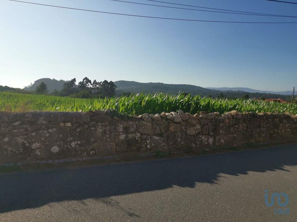 Helårsgrund i Esposende, Braga - foto 3
