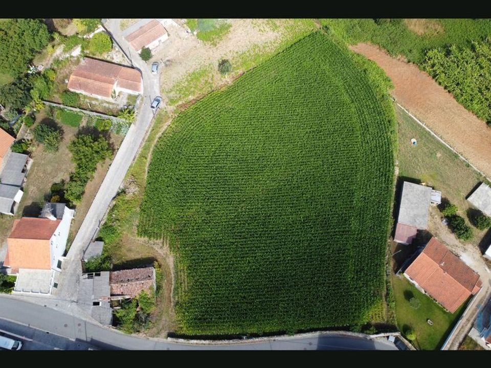 Helårsgrund i Esposende, Braga - foto 5