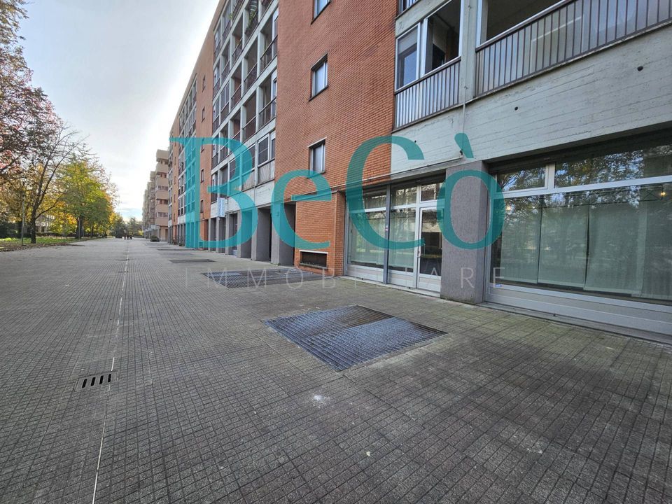 L'establiment comercial a San Donato Milanese, Milan - foto 1
