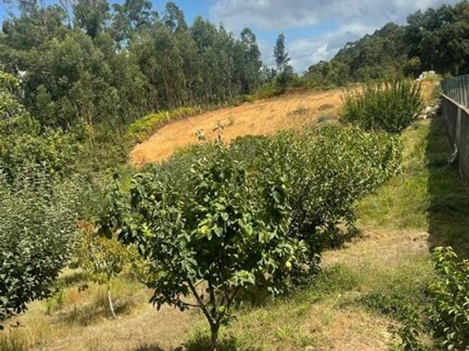 Helårsgrund i Moncao, Viana do Castelo - foto 1