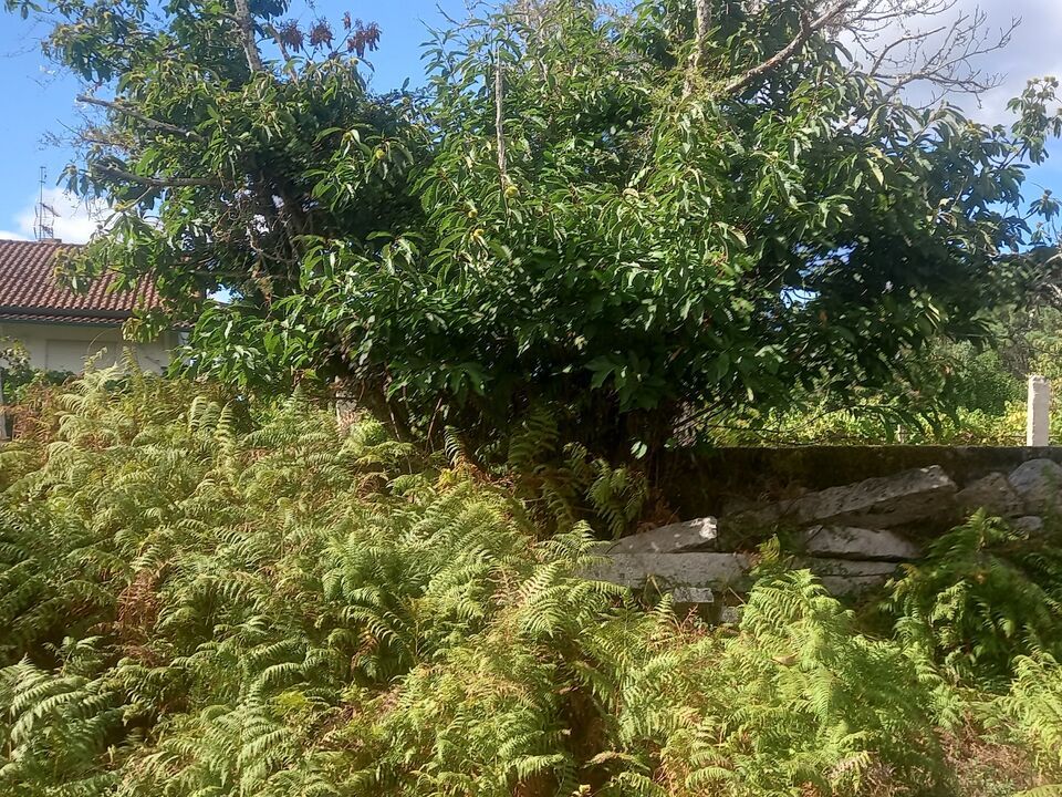 Villa i Moncao, Viana do Castelo - foto 3