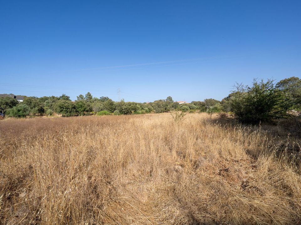 Helårsgrund i Fatima, Santarem - foto 2