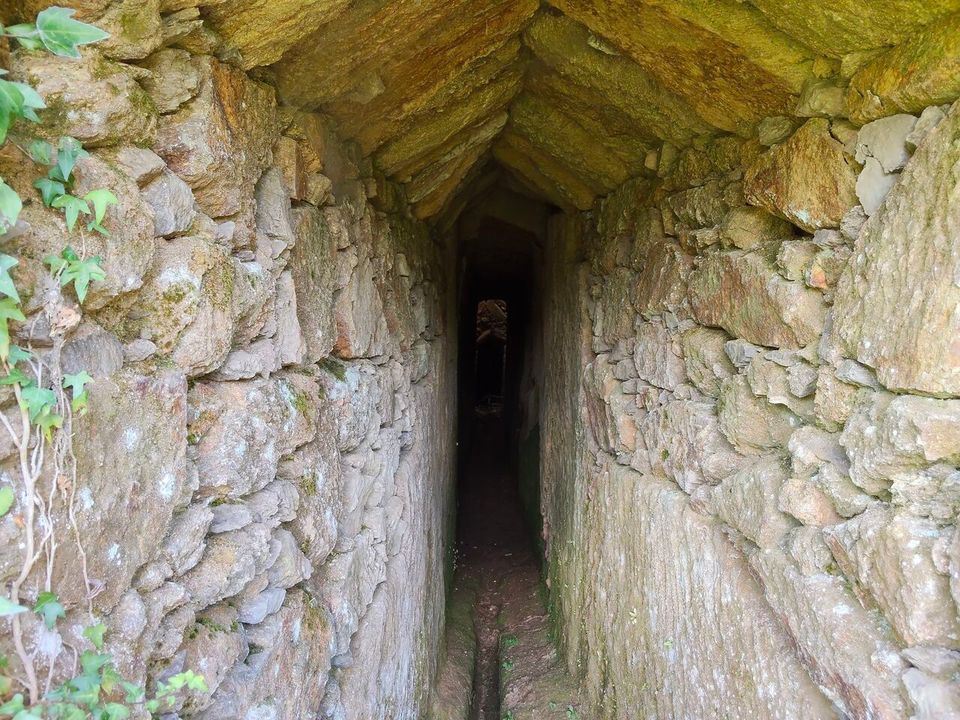 Tomt i Alvaiazere, Leiria - bilde 5