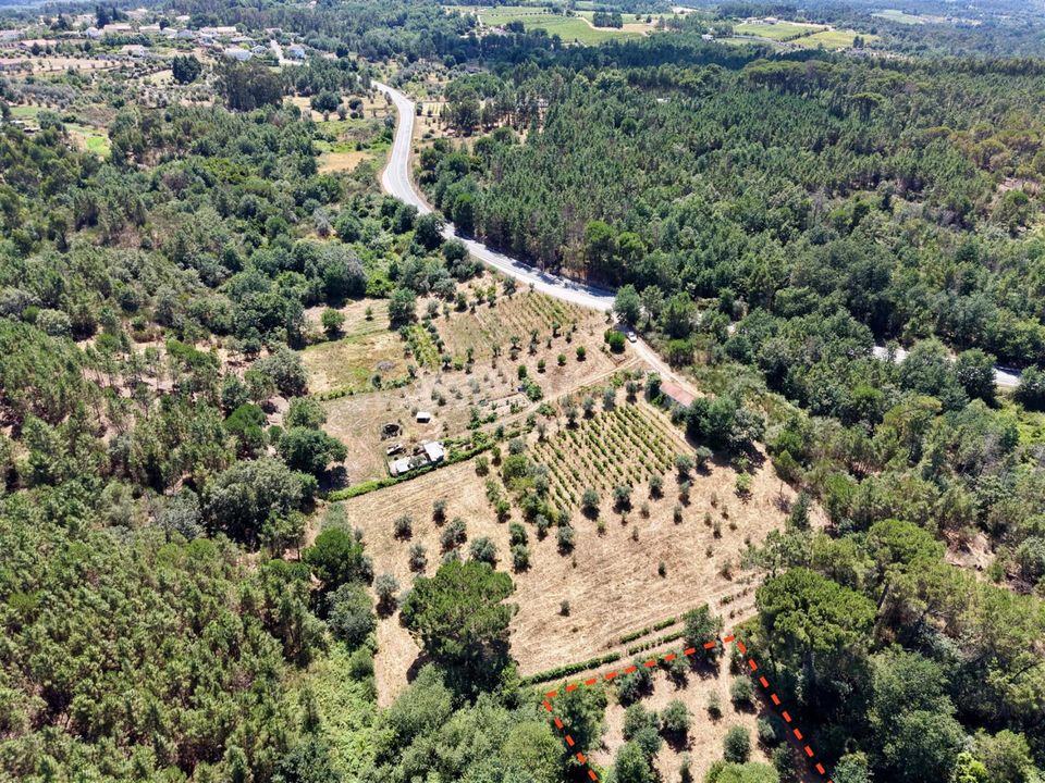 Terra em Nelas, Viseu - foto 1