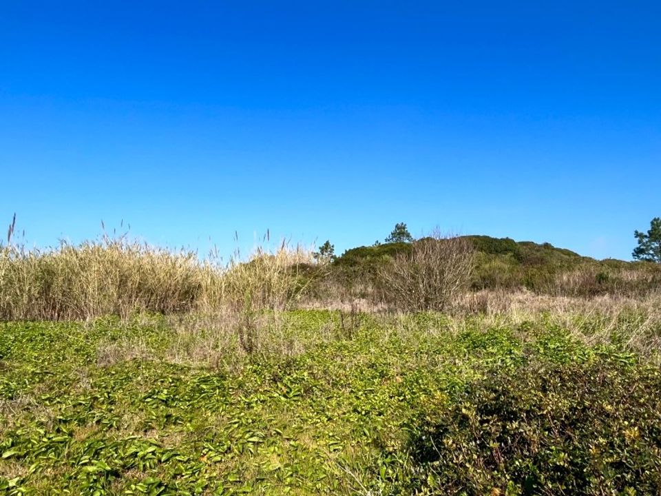 Helårsgrund i Santo Onofre e Serra do Bouro, Leiria - foto 2