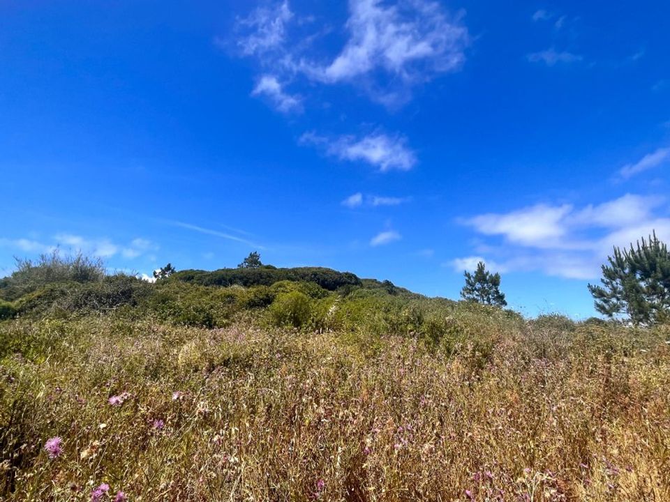 Helårsgrund i Santo Onofre e Serra do Bouro, Leiria - foto 3