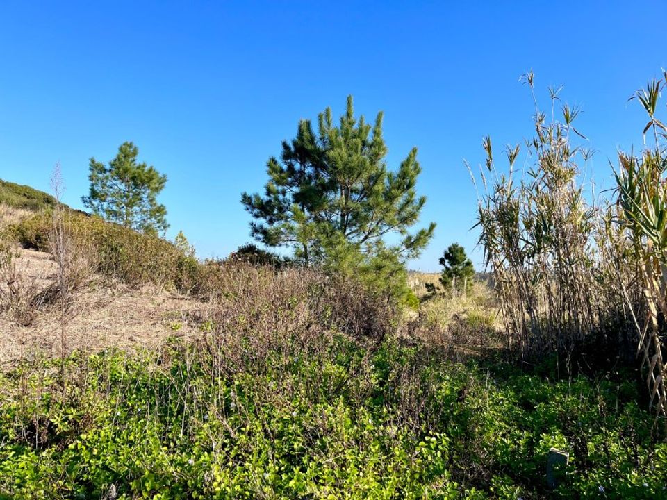 Helårsgrund i Santo Onofre e Serra do Bouro, Leiria - foto 4