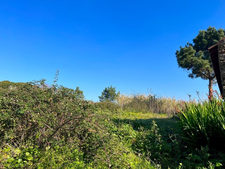 Helårsgrund i Santo Onofre e Serra do Bouro, Leiria - foto 5
