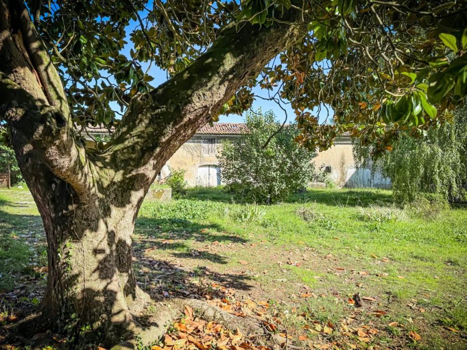 Gård i Villars-en-Pons, Charente-Maritime - bilde 4