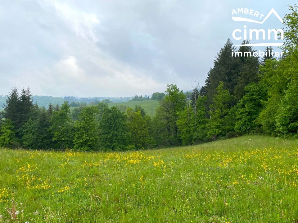 Helårsgrund i Vertolaye, Puy-de-Dome - foto 3