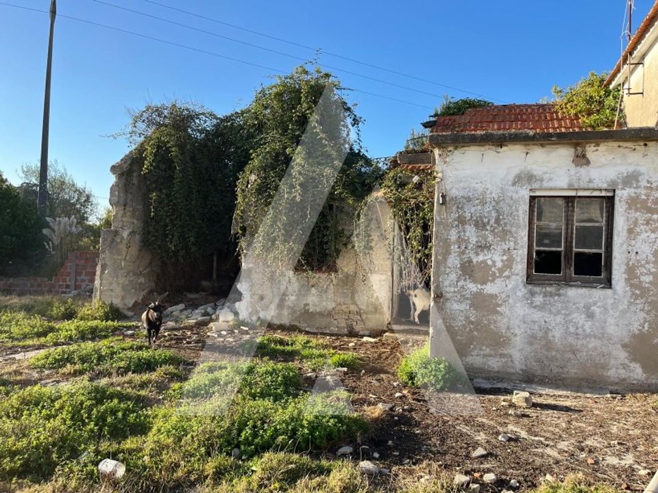 Helårsgrund i Ilhavo, Aveiro - foto 3