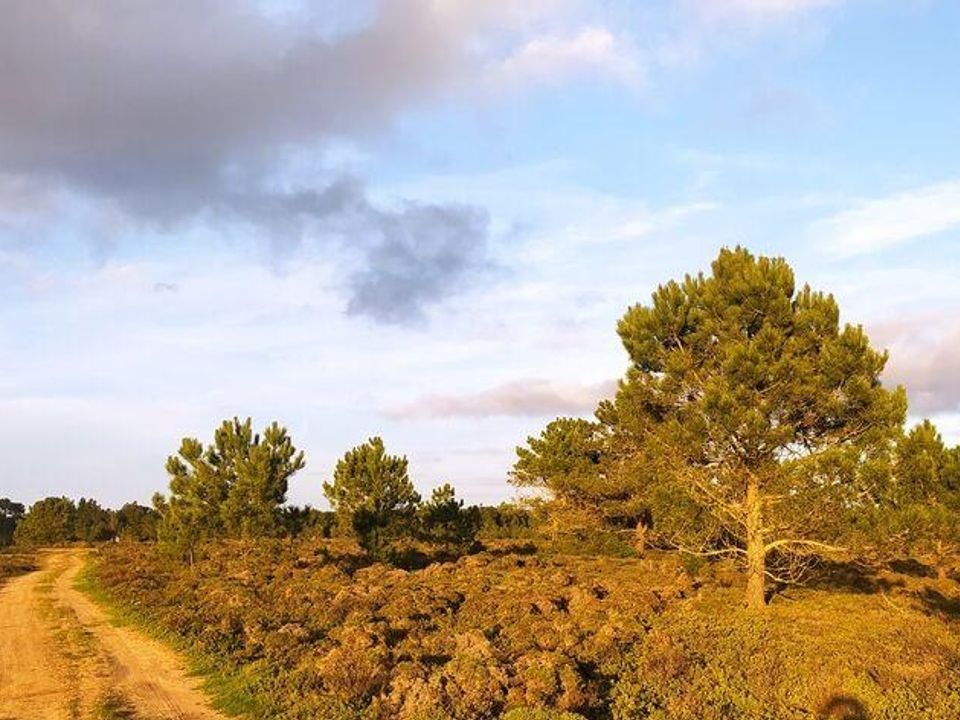 Helårsgrund i Sagres, Faro - foto 1