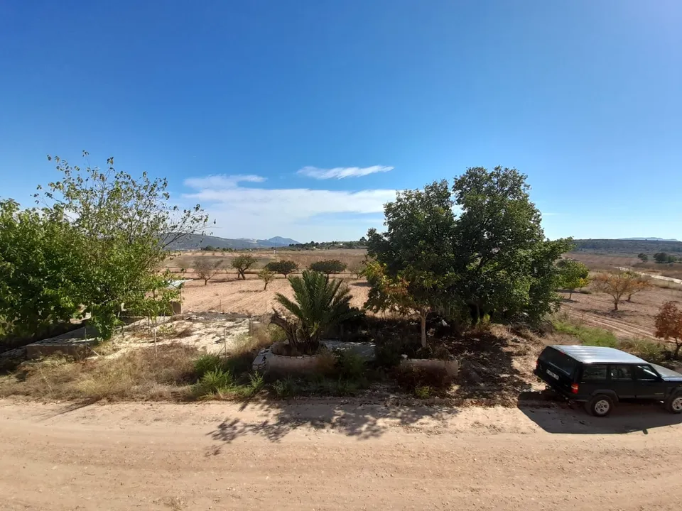 Landejendom i Pinoso, Alicante - foto 4