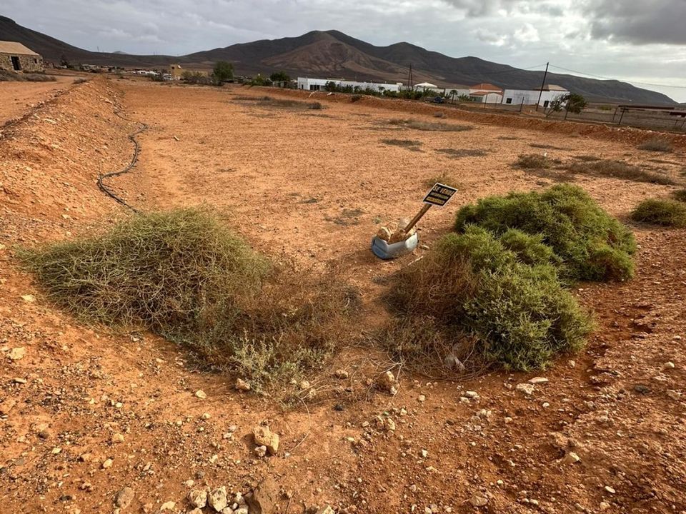 Terra em Triquivijate, Fuerteventura - foto 3