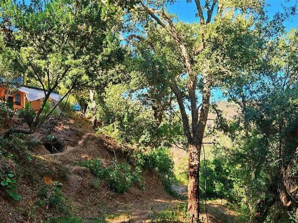 Terreno en Monchique, Faro - foto 1
