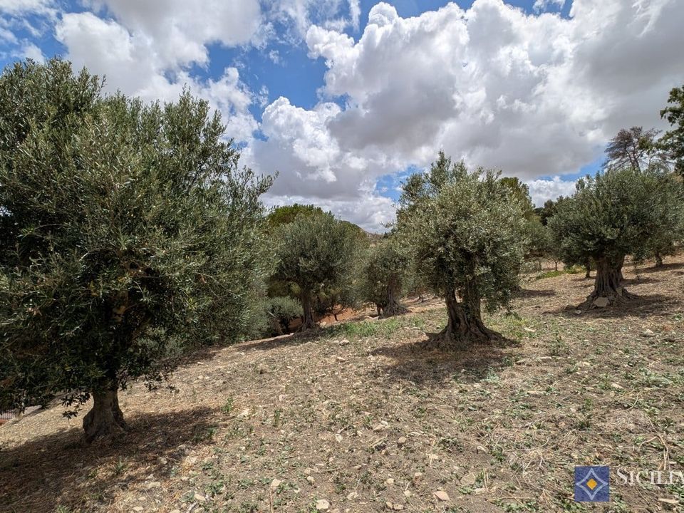 Villa i Buseto Palizzolo, Trapani - foto 5