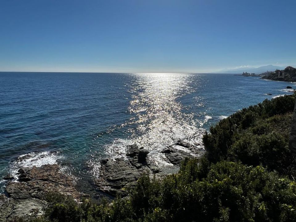 Leilighet i San-Martino-di-Lota, Haute-Corse - bilde 1
