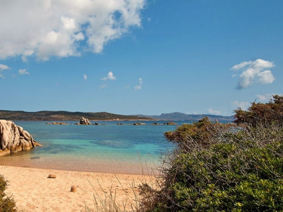 Lejlighed i Pianotolli-Caldarello, Corse-du-Sud - foto 3