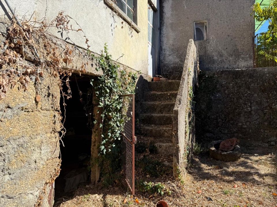 Villa i Carregal do Sal, Viseu - foto 5