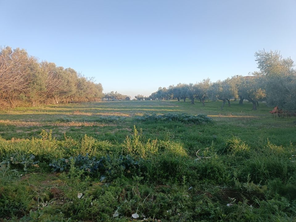 Tomt i Treglio, Chieti - bilde 1