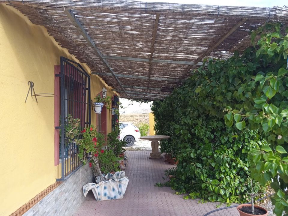 Cortijo i Freila, Granada - foto 3