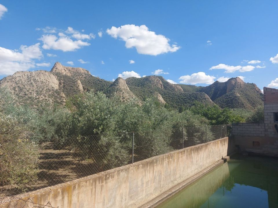 Landejendom i Beas De Guadix, Granada - foto 2