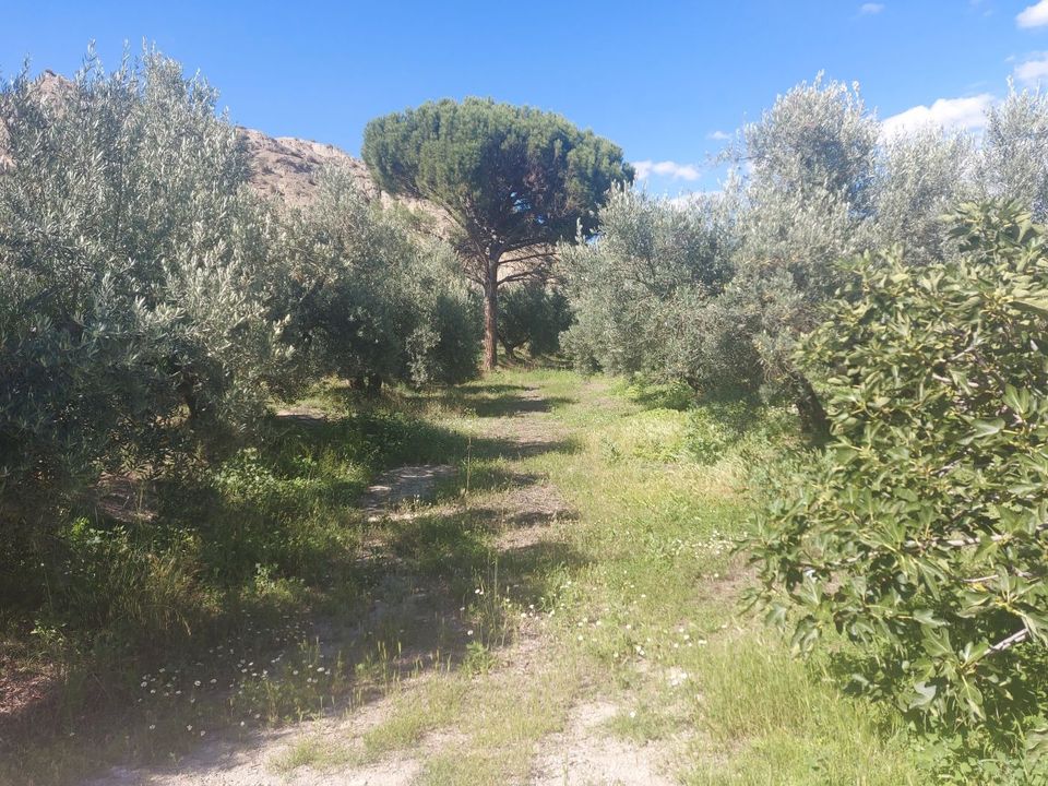 Landejendom i Beas De Guadix, Granada - foto 4