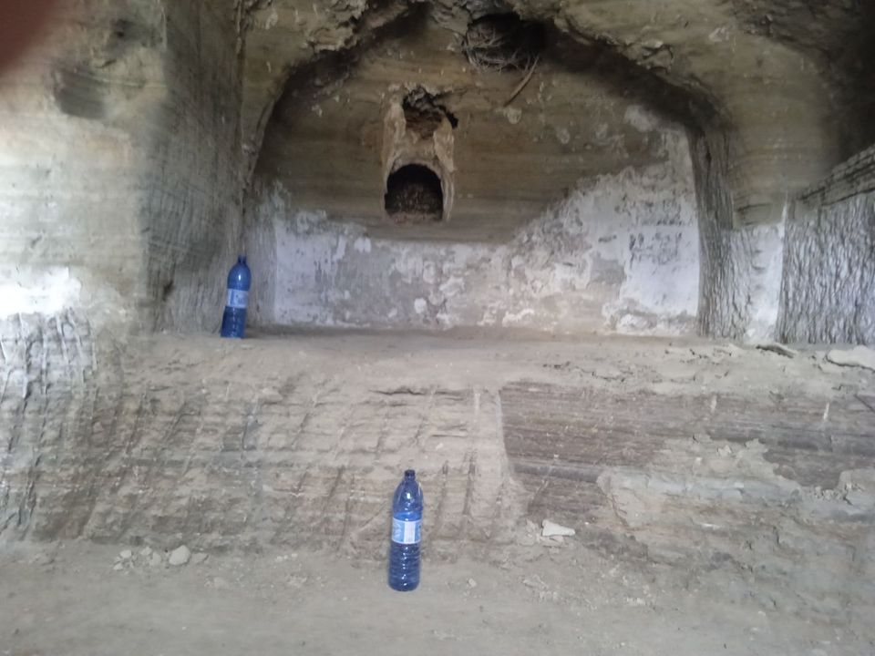 Cave house i Benamaurel, Granada - foto 5