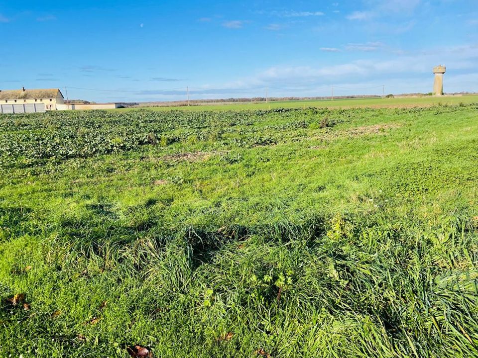Land in Houdan, Yvelines - photo 1