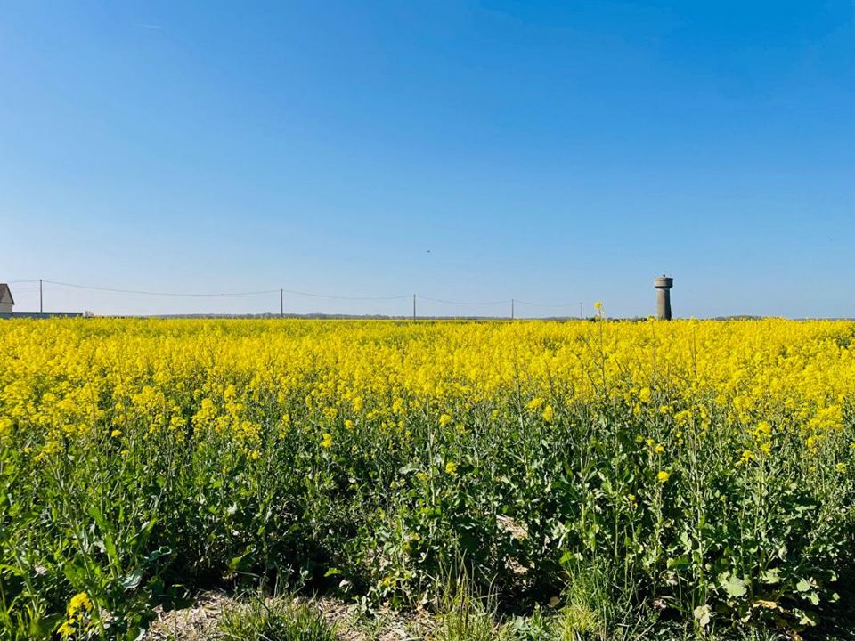 Land in Houdan, Yvelines - photo 2