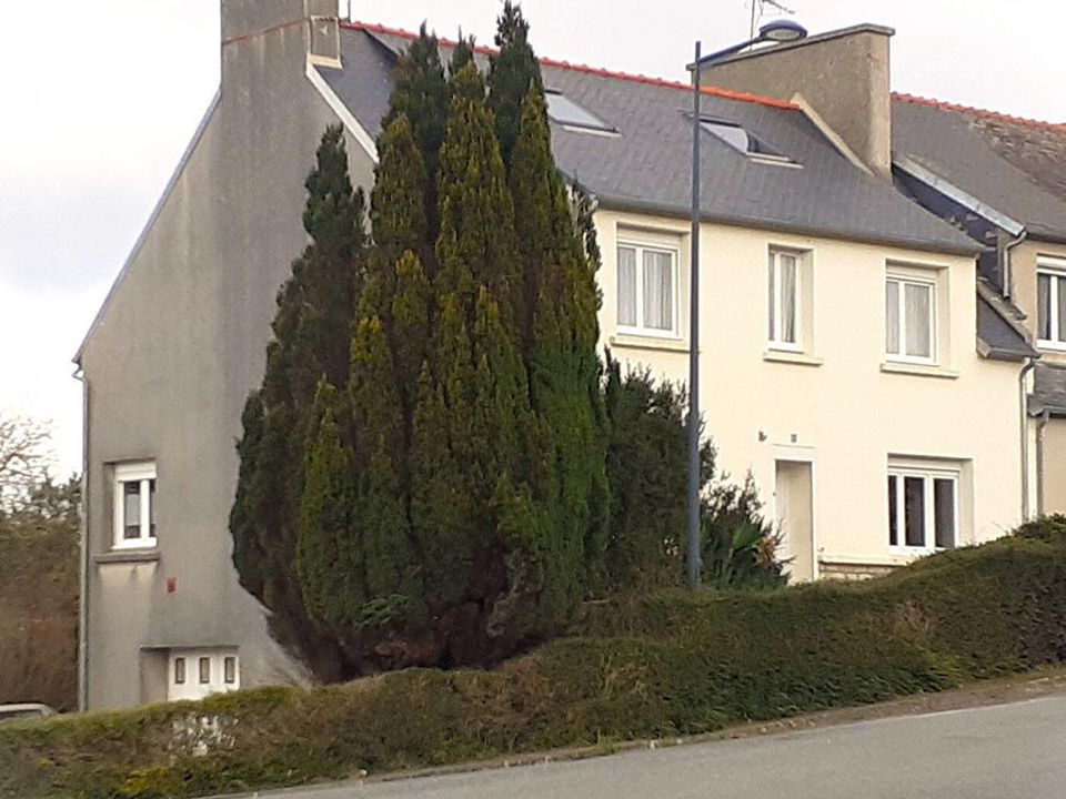 Villa i Telgruc-sur-Mer, Finistere - foto 3