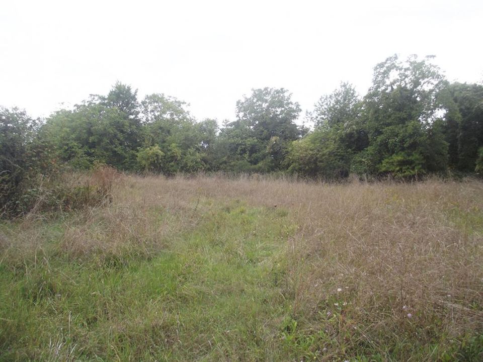 Terra a Chavanges, Aube - foto 2