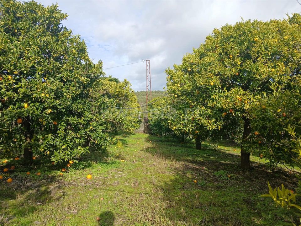 Erhvervsejendom i Nisa, Portalegre - foto 1
