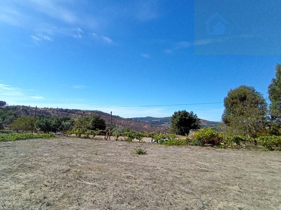 Helårsgrund i Mangualde, Viseu - foto 1