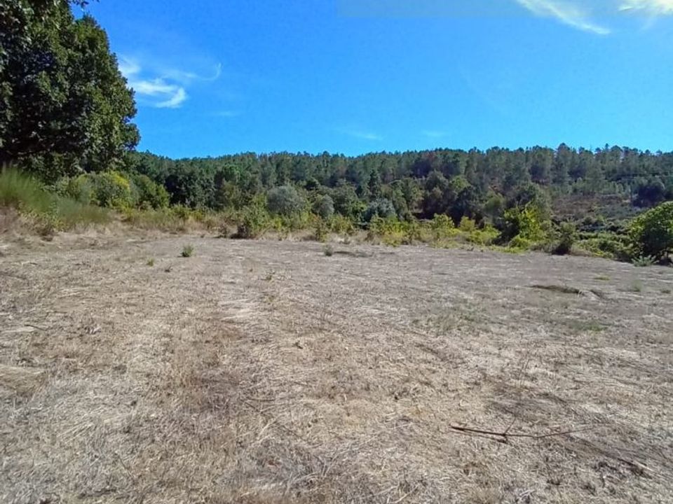 Helårsgrund i Mangualde, Viseu - foto 2