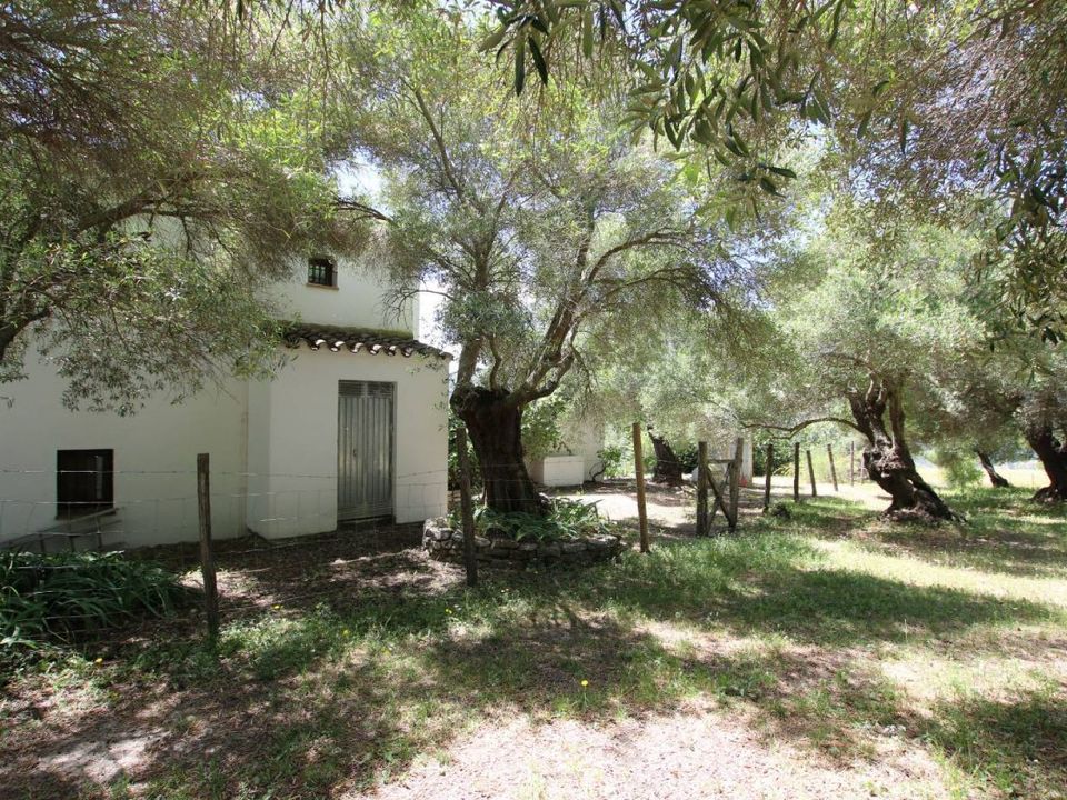 Finca i Gaucin, Malaga - foto 2
