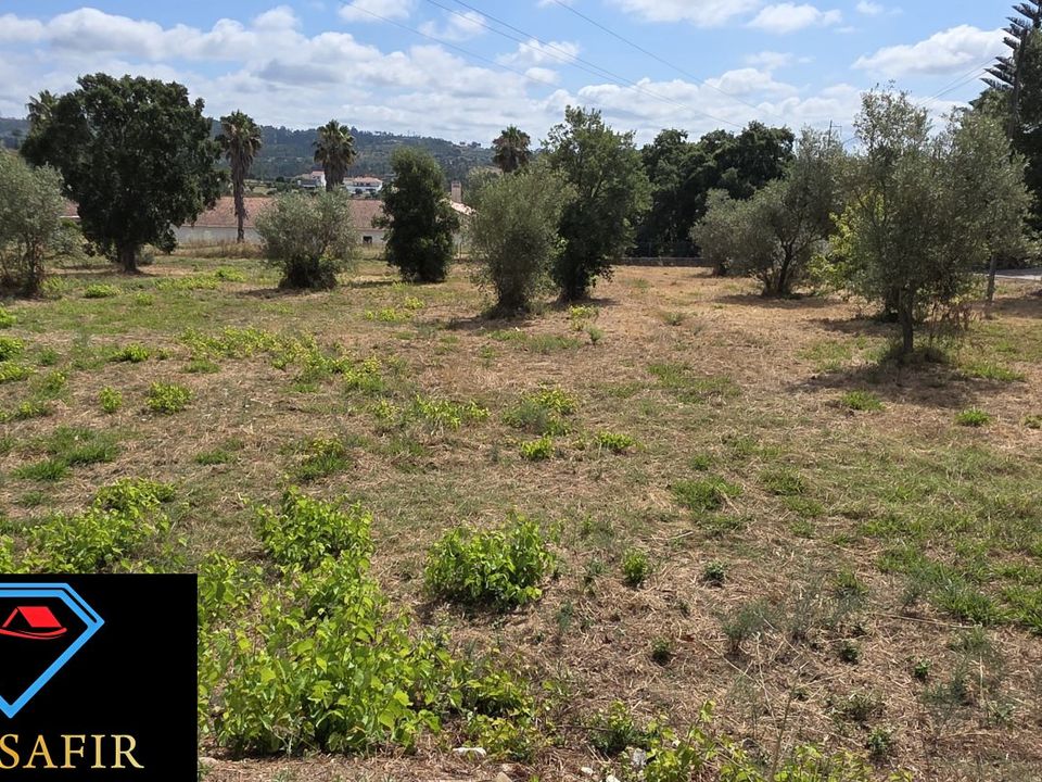 Helårsgrund i Tomar, Santarem - foto 1