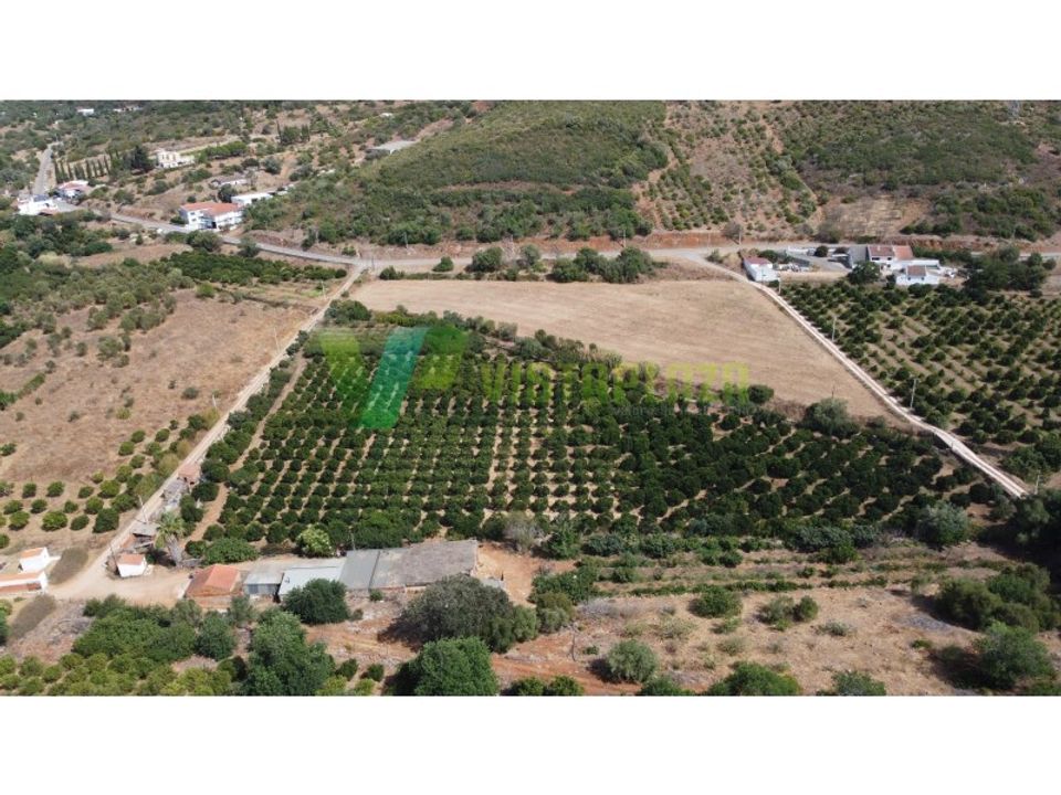 Helårsgrund i Mexilhoeira Grande, Faro - foto 2