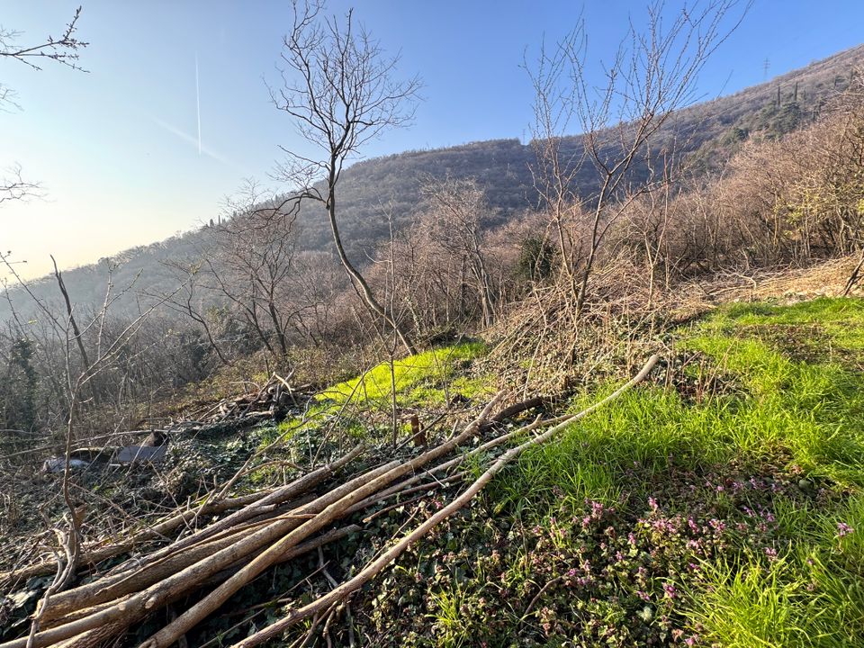 Villa i Brescia, Brescia - foto 4