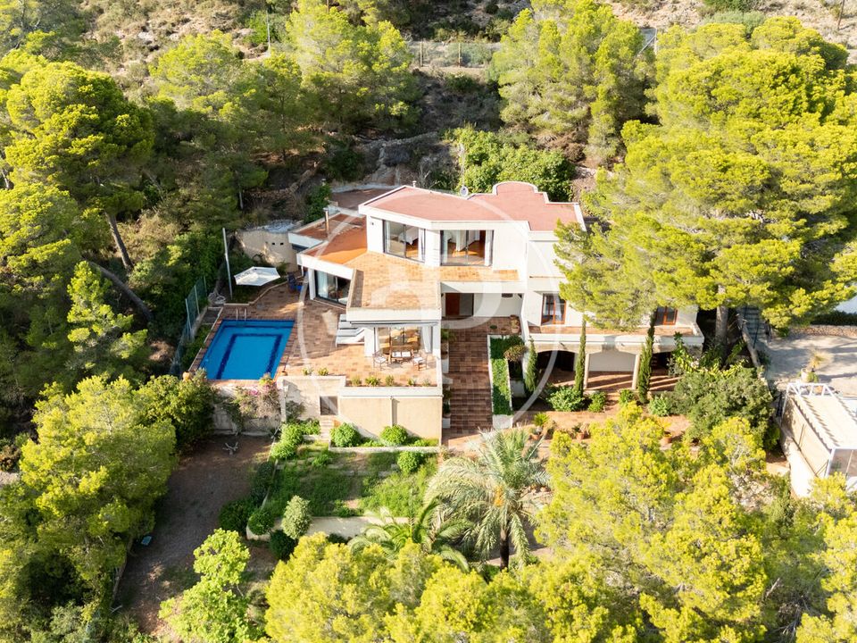 Villa - Son Servera, Mallorca - photo 1