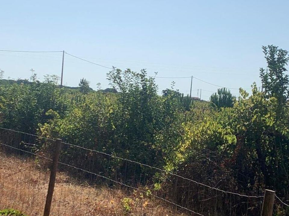 Helårsgrund i Palmela, Setubal - foto 4