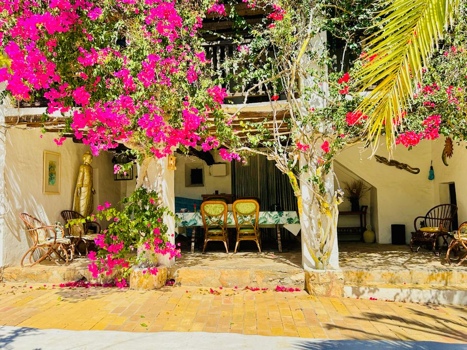Landejendom i Sant Josep de sa Talaia, Ibiza - foto 4
