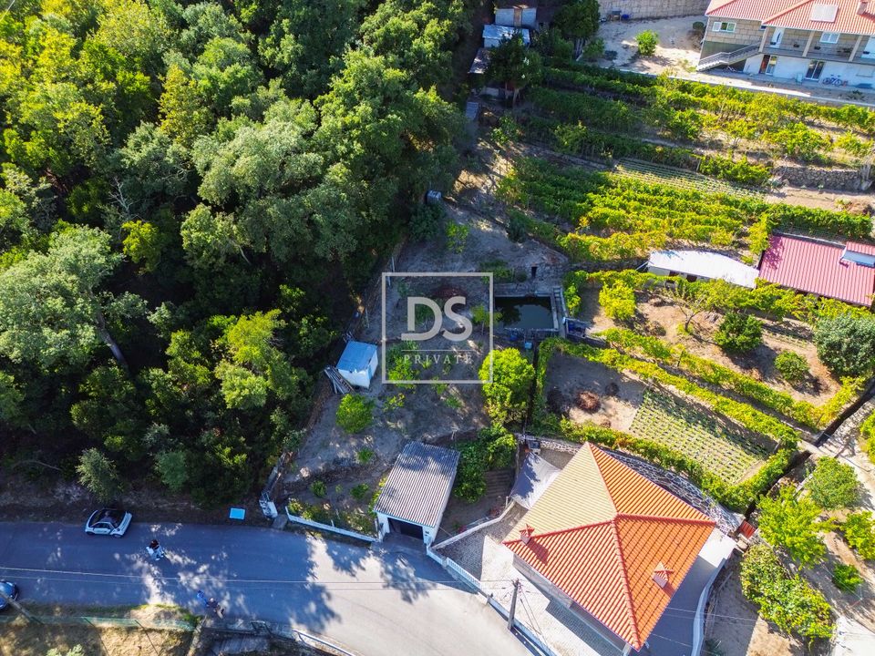 Helårsgrund i Santa Cruz do Douro e Sao Tome de Covelas, Porto - foto 3