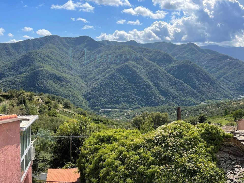 Villa i Ranzo, Imperia - foto 4